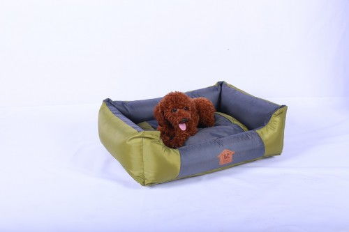 歐佩貝貝寵物用品 給寵物baby們貼心呵護(hù)