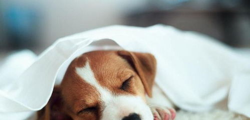 網(wǎng)購(gòu)要知道避雷, 5類(lèi) 商品去實(shí)體店買(mǎi)更好,不要貪便宜而吃虧