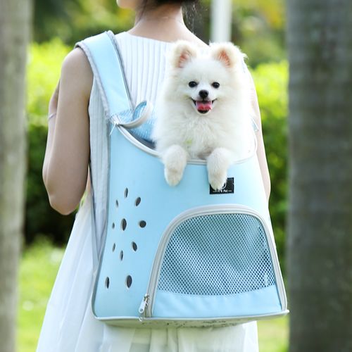 時(shí)尚寵物用品,讓你家里的寶貝美美的