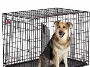 圖 個(gè)人 9成新美國(guó)中西低碳鋼狗窩300轉(zhuǎn)讓 深圳寵物食品 用品