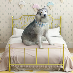 打造寵物公主夢(mèng) 鐵藝寵物床與全套生活用品的溫馨指南