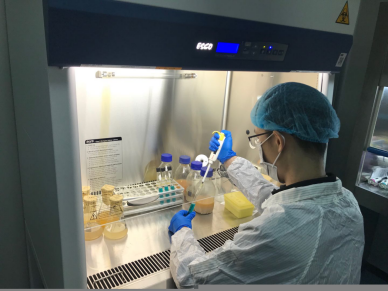 飼料禁抗下的挑戰與機遇 正大康地如何以生物飼料研發破局豬料市場